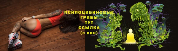 спиды Алзамай