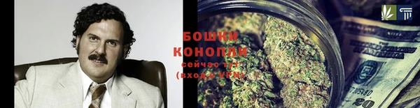 ГАЛЛЮЦИНОГЕННЫЕ ГРИБЫ Алексин