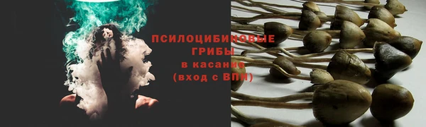 ALPHA-PVP Алексеевка