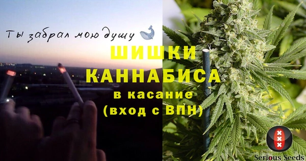 ГАЛЛЮЦИНОГЕННЫЕ ГРИБЫ Алексин