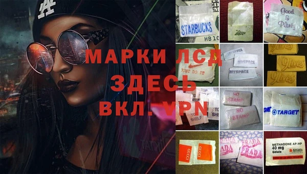 ГАЛЛЮЦИНОГЕННЫЕ ГРИБЫ Алексин