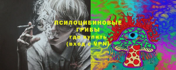 ALPHA-PVP Алексеевка
