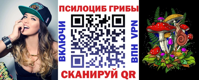 Псилоцибиновые грибы Cubensis  купить закладку  Пласт 